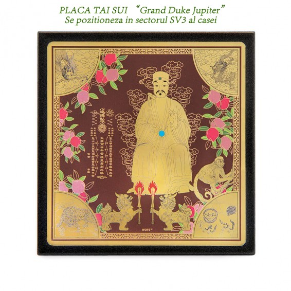 large_3830_023008900159-566x566