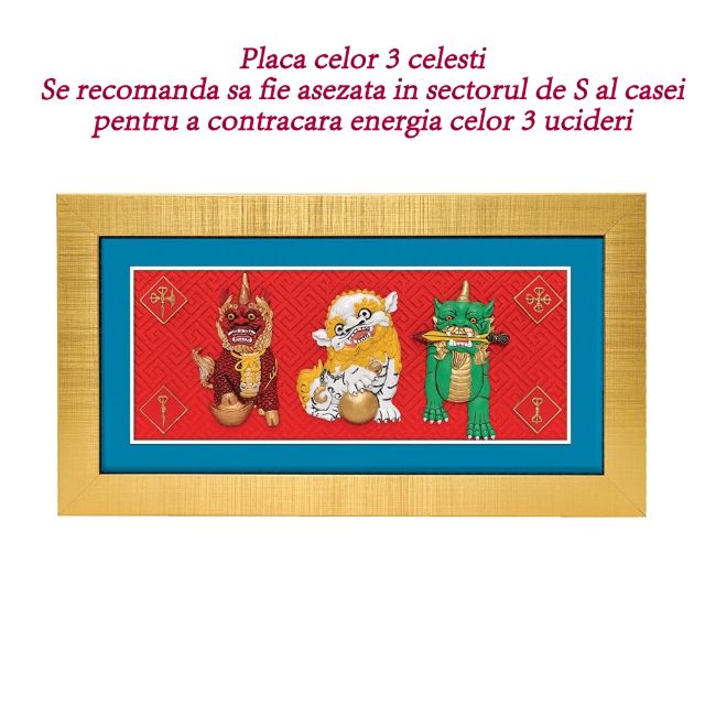 large_3887_023008900158